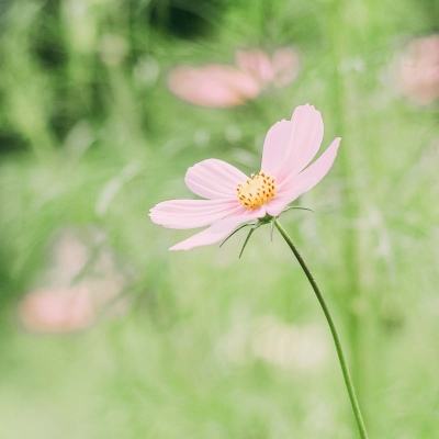 音乐节惊魂，铭记安全大于一切