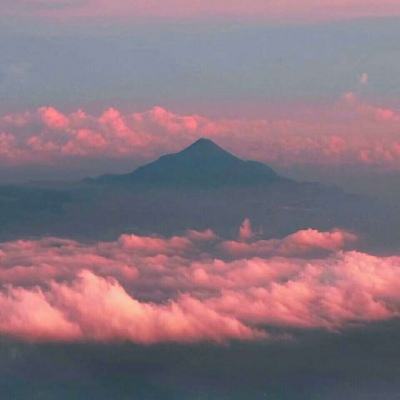 黄瓜、油菜等价格近期回落，国庆黄金周保供稳价