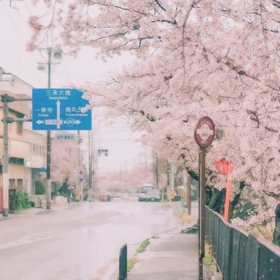 护水清岸绿 建美丽乡村