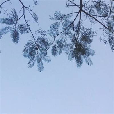 高中生晚11点后上厕所被定重大违纪，官方通报