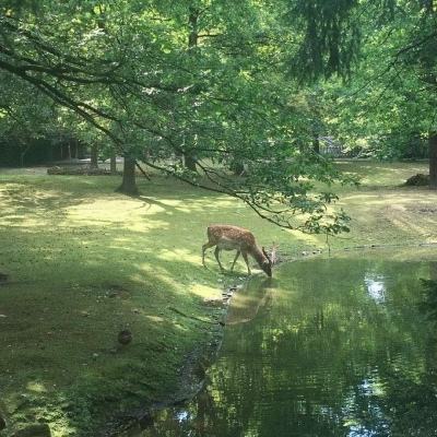 代号“老鼠”，一个在缅北干电诈的农村青年