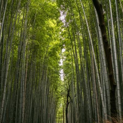 天生命带偏财的4个生肖，好运连连，钞票滚滚而来！有你吗？